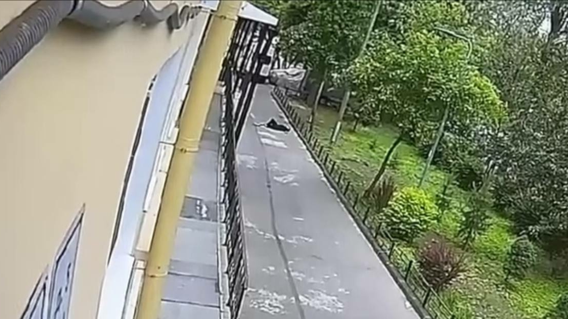 Стало известно состояние подростка, выпавшем из окна детдома в Колпино