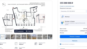 В Петербурге продают самый дорогой этаж из трех квартир за 355 млн рублей