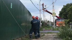 Штормовой ветер заставил специалистов убирать деревья с ЛЭП и возвращать электричество в дома Ленобласти