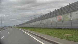В Пушкинском районе после 50 проверок на наличие борщевика собрали 630 тысяч рублей штрафов