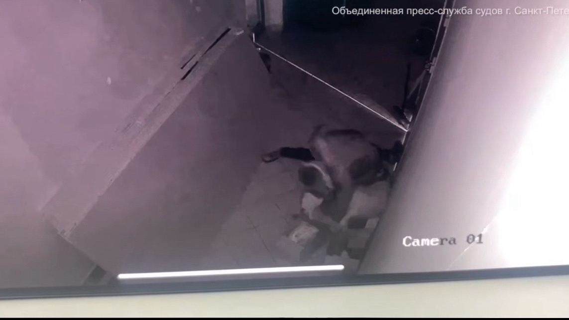 Суд признал поножовщину в ТРЦ самообороной и отправил петербуржца на исправительные работы