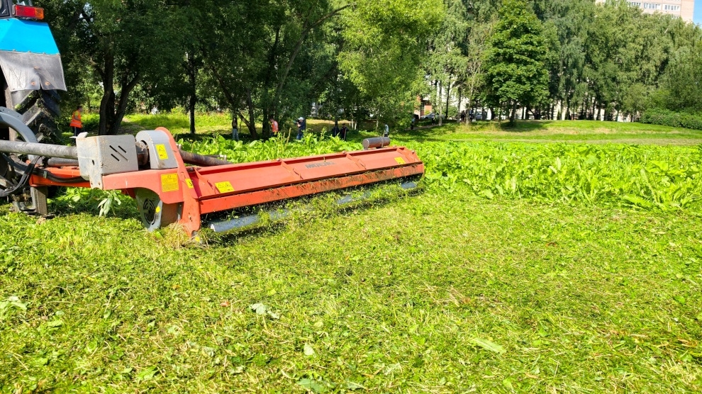 Борщевик занял 14 гектаров в Полежаевском парке — борьба идет вручную
