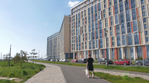 PRO-версия Южного намыва: как осваивают новую территорию в Петербурге?