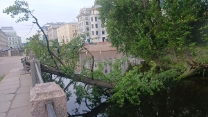 На Крюковом канале дерево «помяло» историческую чугунную ограду