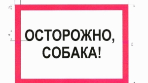 В Петербурге ввели требования к виду таблички «Осторожно, собака!»