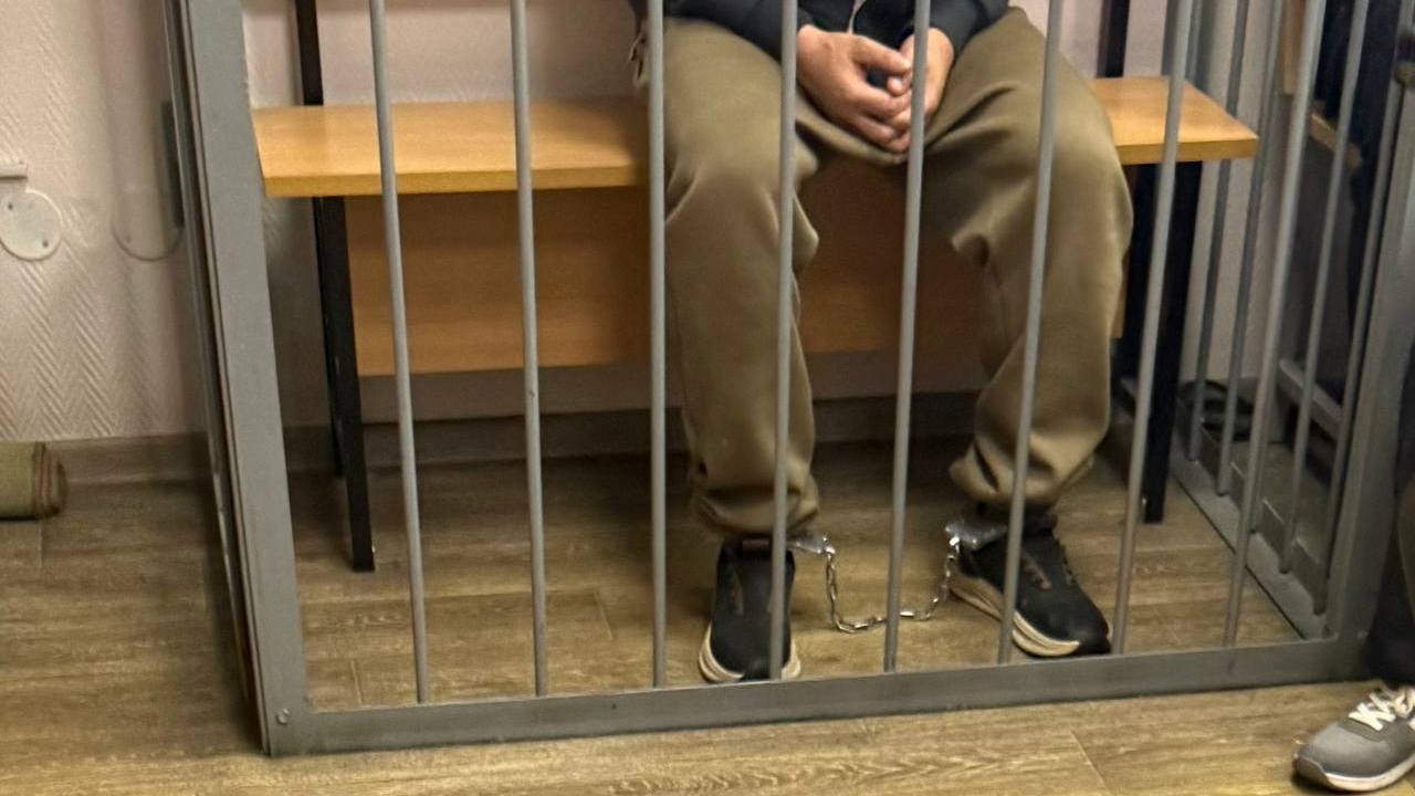 Педофил из Ленобласти нанес 12-летней девочке почти 30 ножевых и отправился в СИЗО