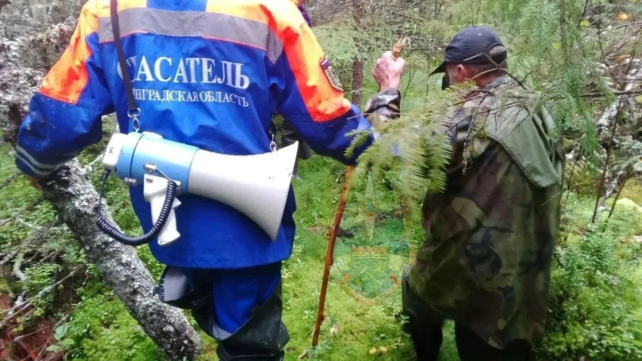 Сколько происшествий предотвратили бригады МЧС в Ленинградской области за 16 июля?