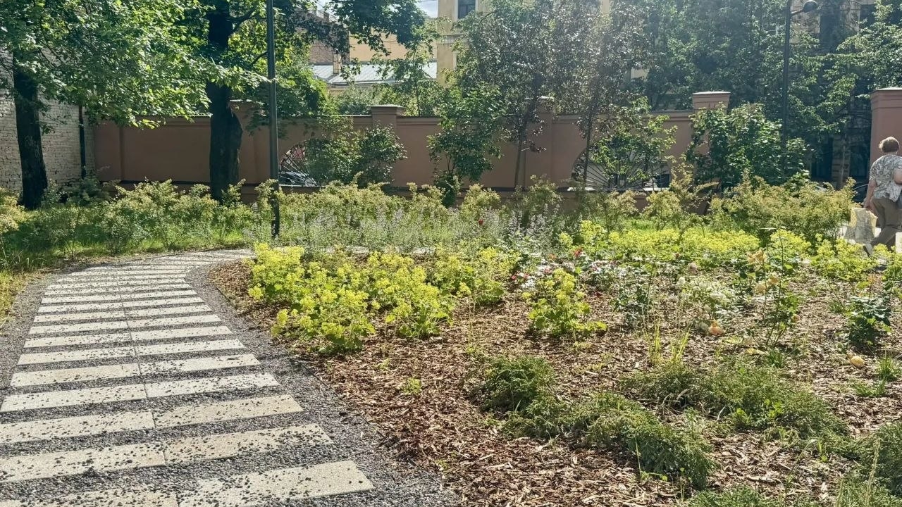 В Петербурге закрыли ордер на благоустройство сквера Леонарда Эйлера