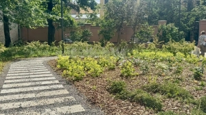В Петербурге закрыли ордер на благоустройство сквера Леонарда Эйлера