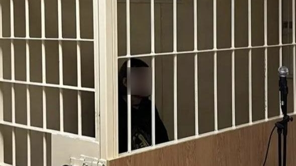 Петербургский суд ужесточил меру пресечения убившему голубя треш-блогеру