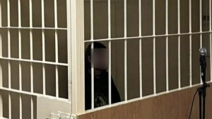 Петербургский суд ужесточил меру пресечения убившему голубя треш-блогеру