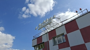 В Пулково самолеты стали в шесть раз реже уходить на второй круг из-за птиц