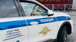 Аферисты заставили еще одного подростка поджечь полицейскую машину в Ленобласти