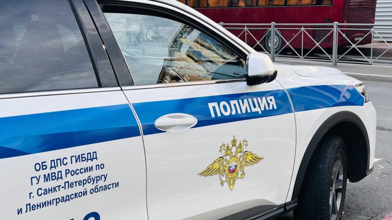 С января по июль число тяжких преступлений в Петербурге упало на 24,1%