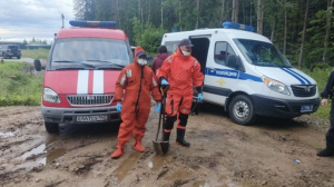 Мертвеца нашли на лесном болоте в Сертолово