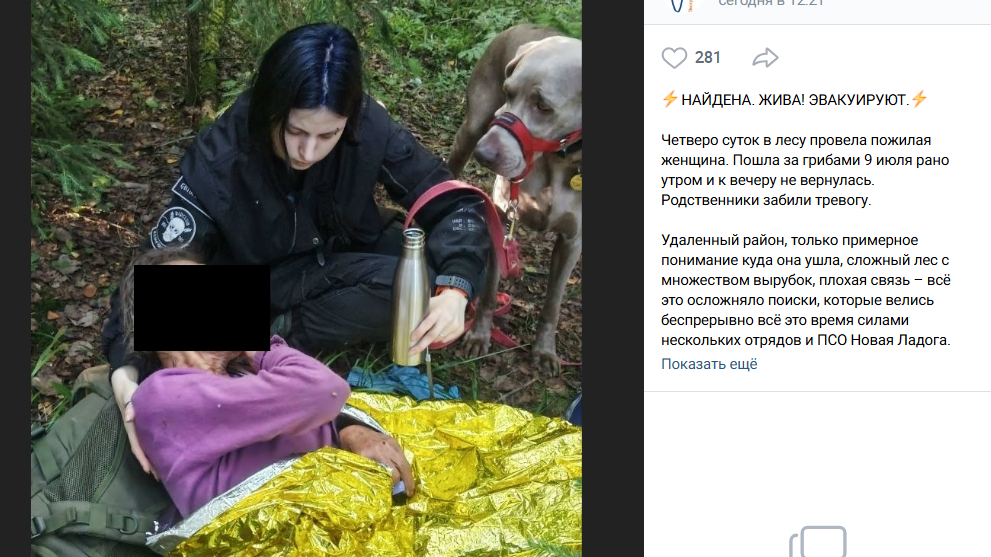 Волонтеры Ленобласти пять дней искали 86-летнюю пенсионерку, ушедшую за грибами