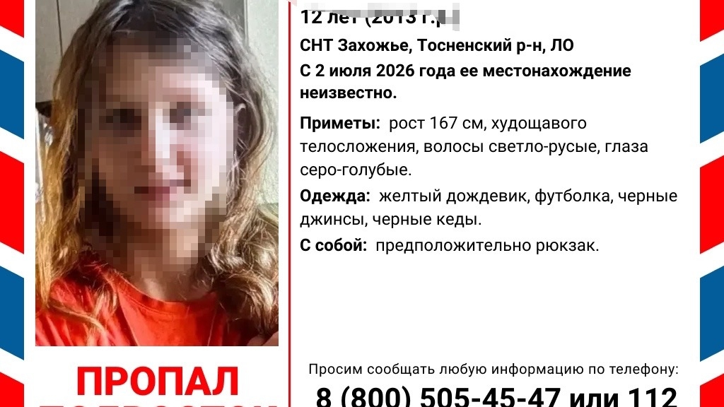 Собирала лисички: 12-летняя девочка в желтом дождевике бесследно пропала в СНТ «Захожье»