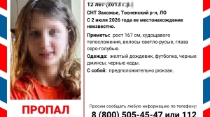 Собирала лисички: 12-летняя девочка в желтом дождевике бесследно пропала в СНТ «Захожье»