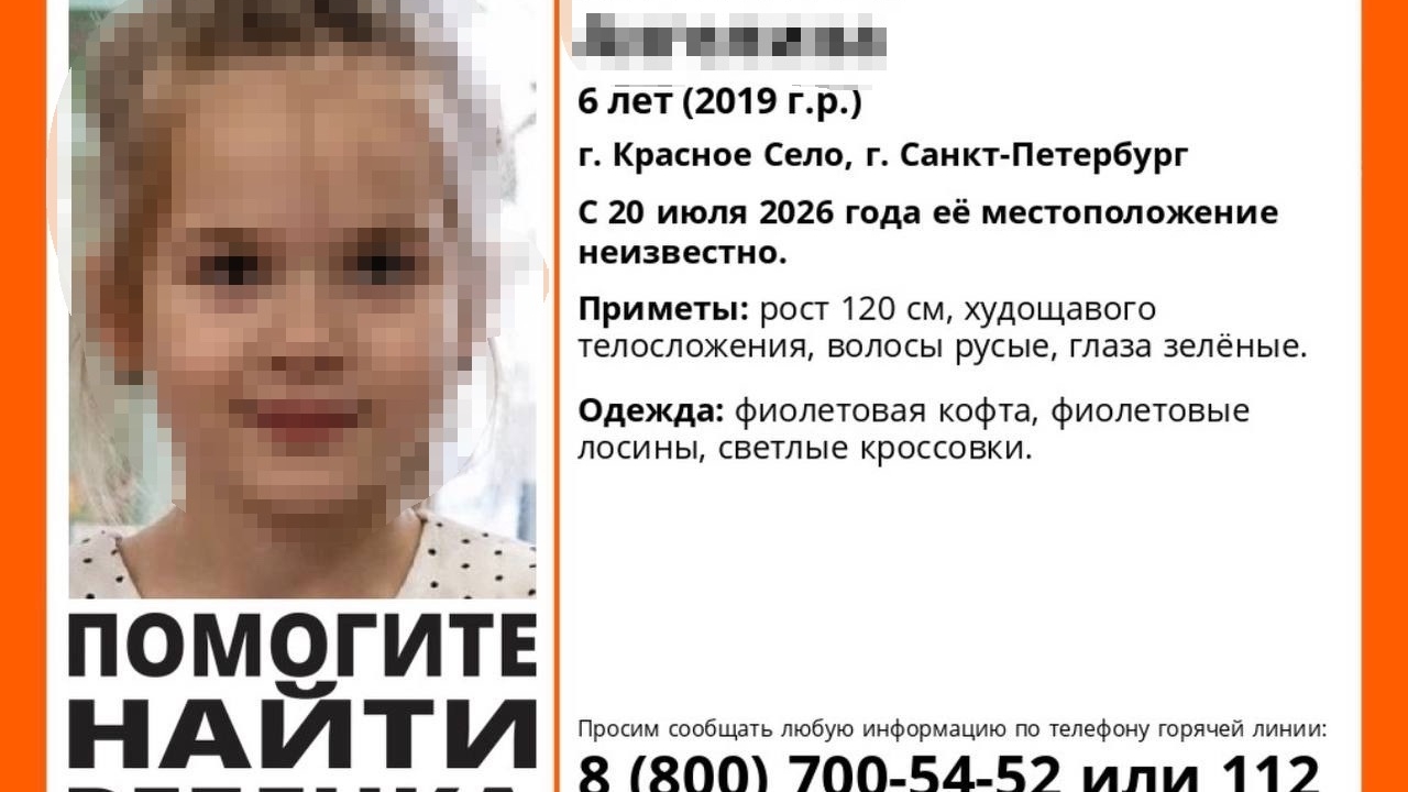 В Красном Селе уже второй день не могут найти 6-летнюю девочку