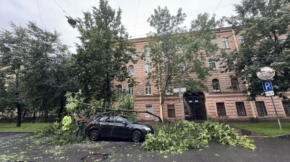 В Петербурге расчищают дороги и трамвайные пути от 20 поваленных деревьев