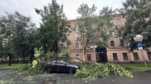 В Петербурге расчищают дороги и трамвайные пути от 20 поваленных деревьев