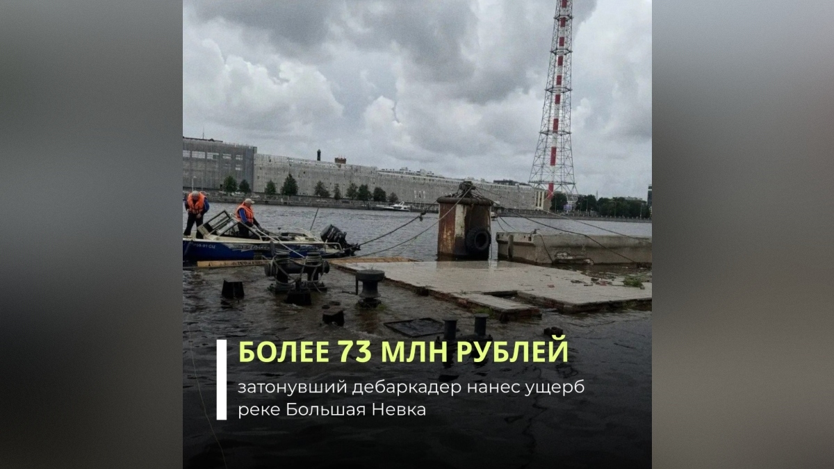 На собственника затонувшего в Большой Невке сооружения подали иск более чем на 70 млн рублей
