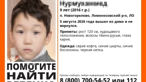 В поселке Новогорелово второй день ищут 9-летнего мальчика в черной кепке