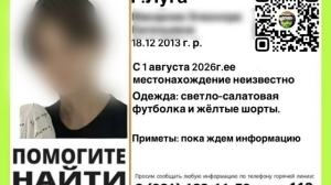 Девочка из Луги отправилась собирать малину и пропала с радаров