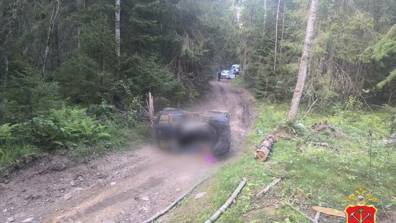 Полиция проводит проверку после ДТП в Ленобласти: погиб 23-летний пассажир