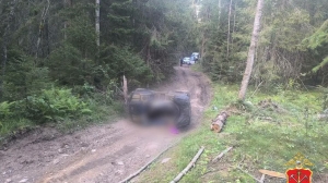 Полиция проводит проверку после ДТП в Ленобласти: погиб 23-летний пассажир