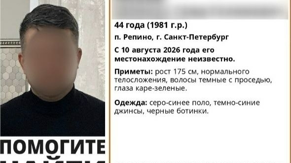 Как петербургские коллеги пропавшего юриста Шамиля Ахаева отреагировали на его исчезновение?