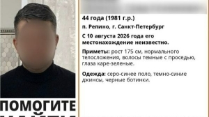 Как петербургские коллеги пропавшего юриста Шамиля Ахаева отреагировали на его исчезновение?