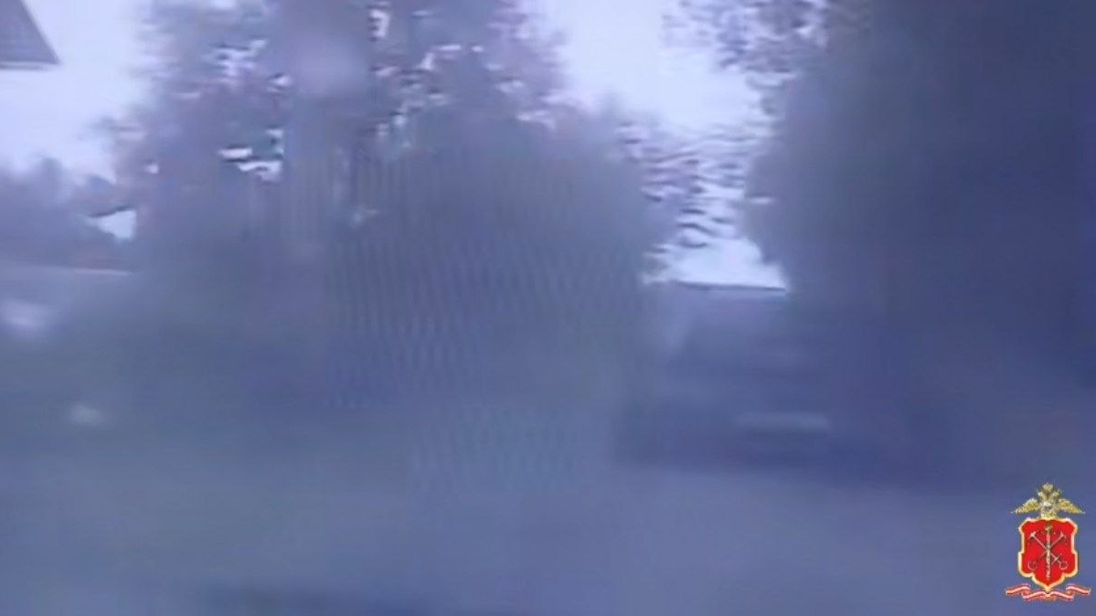 Деревенский вестерн в Рыжиках: хмельной гонщик уворачивался от погони и восьми выстрелов