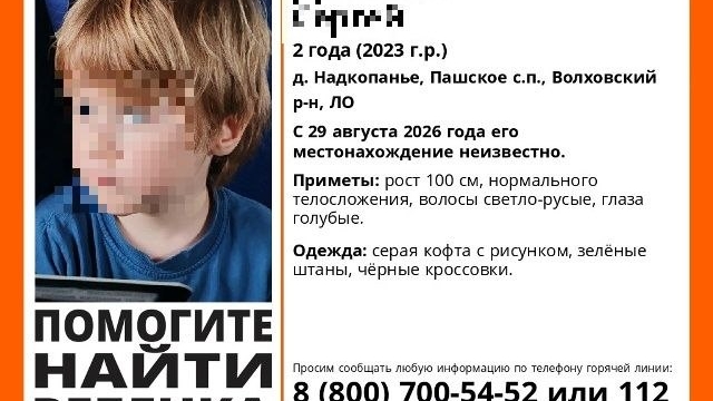 «Играл с братом и пропал»: сценарист из Петербурга ищет двухлетнего сына в Ленобласти