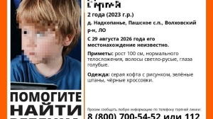 «Играл с братом и пропал»: сценарист из Петербурга ищет двухлетнего сына в Ленобласти