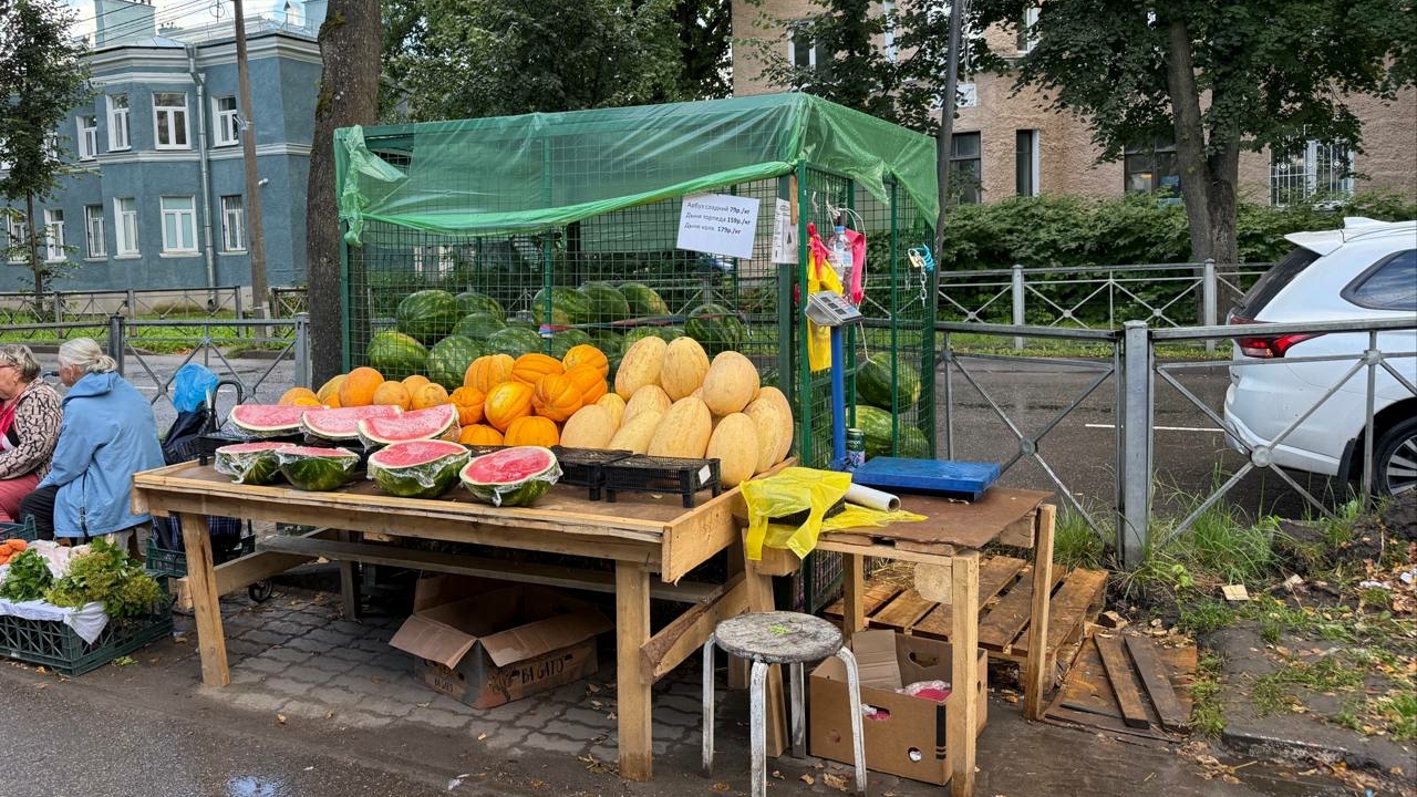 Эксперты раскрыли секрет, как выбрать спелый и сладкий арбуз без гадания