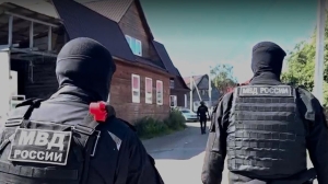Незаконные подключения, оружие и машина с алкоголем: полиция проверила цыганские таборы в Ленобласти
