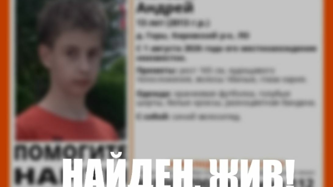 Убегал от бездомных собак и потерялся: в Ленобласти завершились поиски мальчика с нарушением слуха