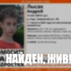 Убегал от бездомных собак и потерялся: в Ленобласти завершились поиски мальчика с нарушением слуха
