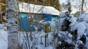 В Зеленогорске продают дачу-развалюху и 7 «соток» за 11 млн: рядом пляж